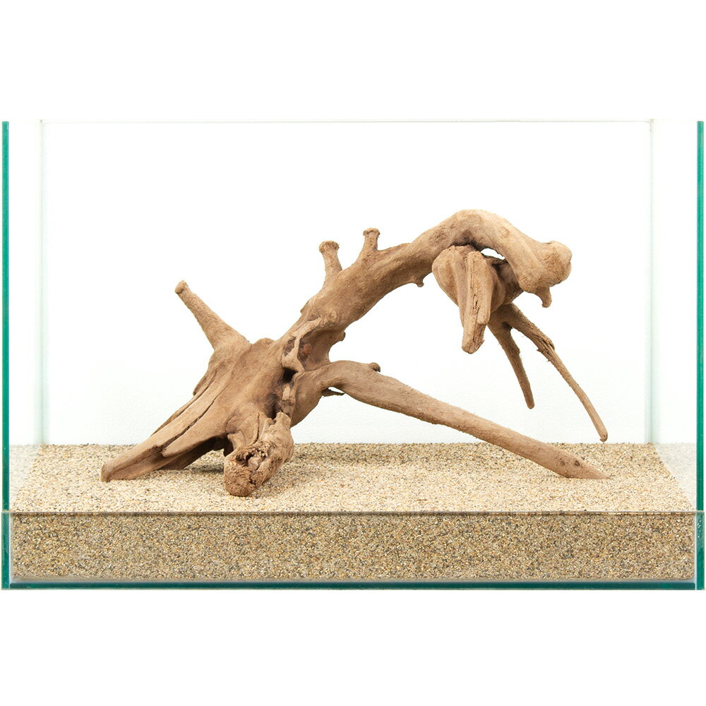 ����ʪ�����ή�ڡ�����45cm�����ѡ�881059������������