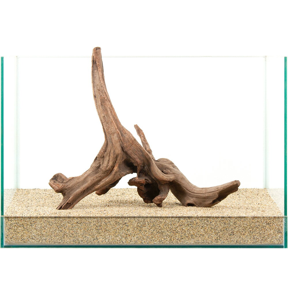 ����ʪ�����ή�ڡ�����45cm�����ѡ�881061������������