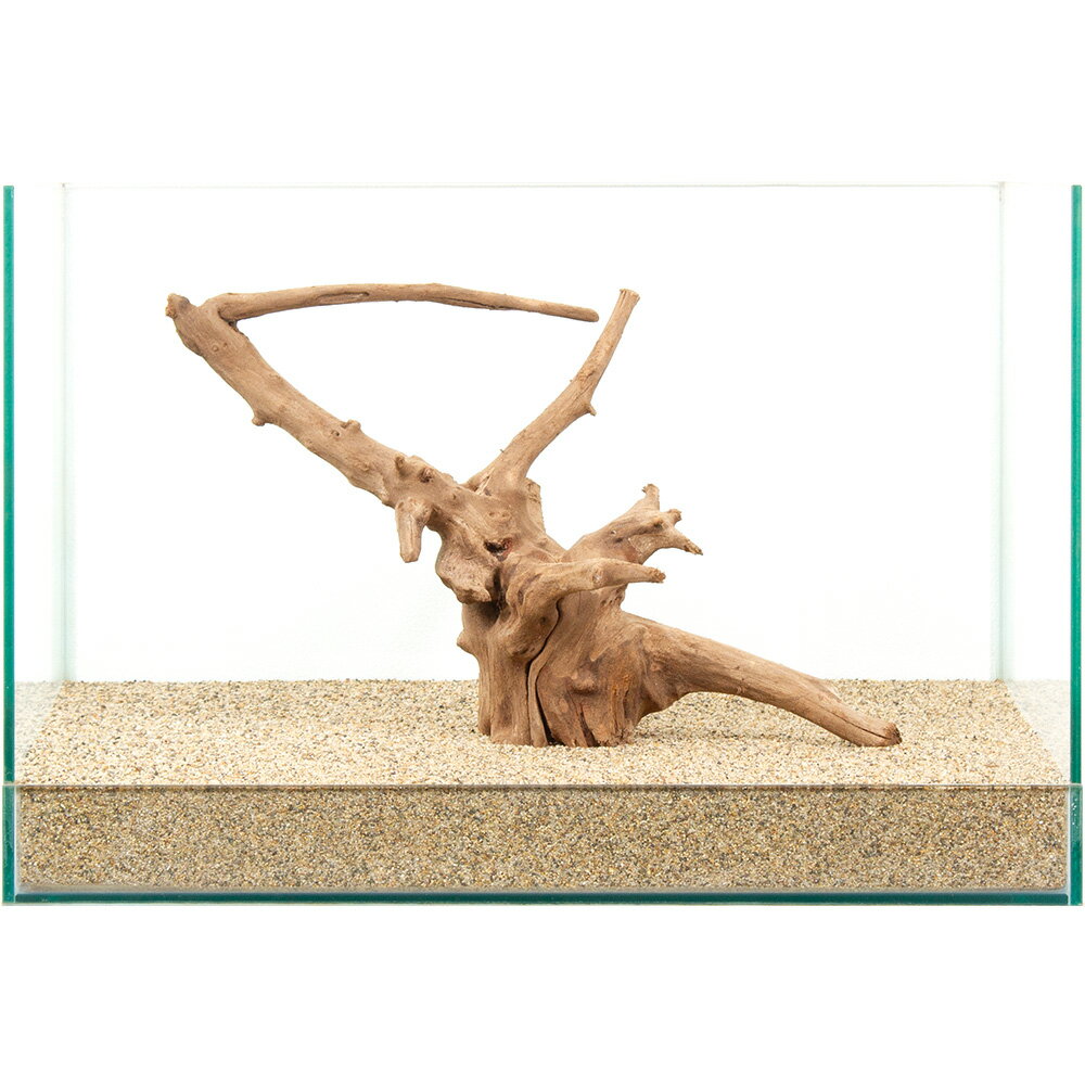 ����ʪ�����ή�ڡ�����45cm�����ѡ�881062������������