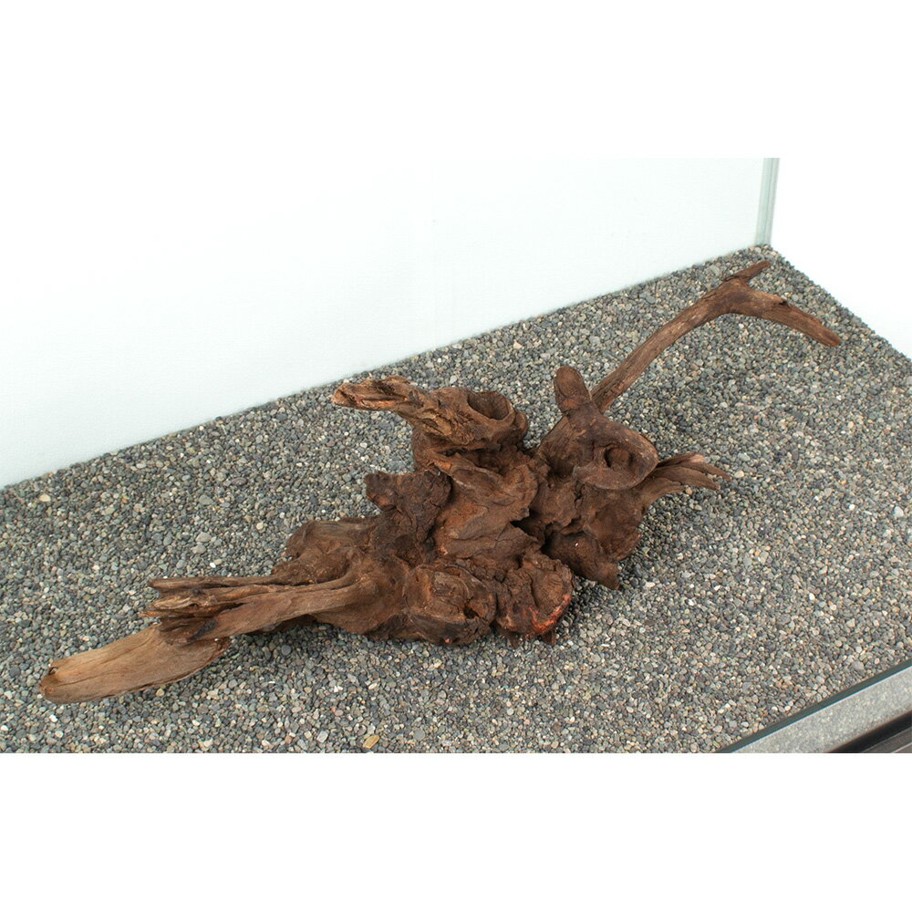 ����ʪ���ɥ�եȥ��åɡ��緿�����ѡ�881068������������