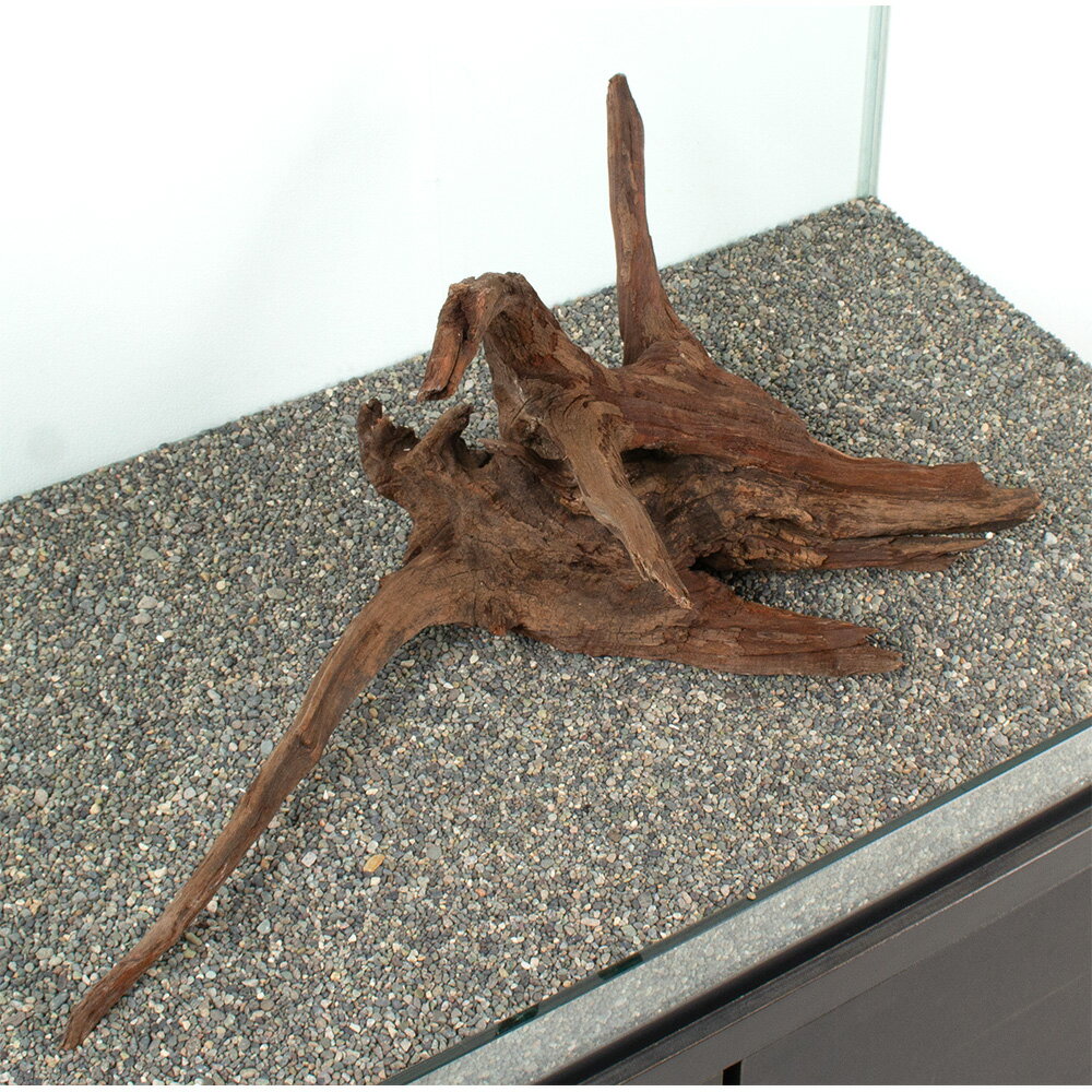 ����ʪ���ɥ�եȥ��åɡ��緿�����ѡ�881069������������