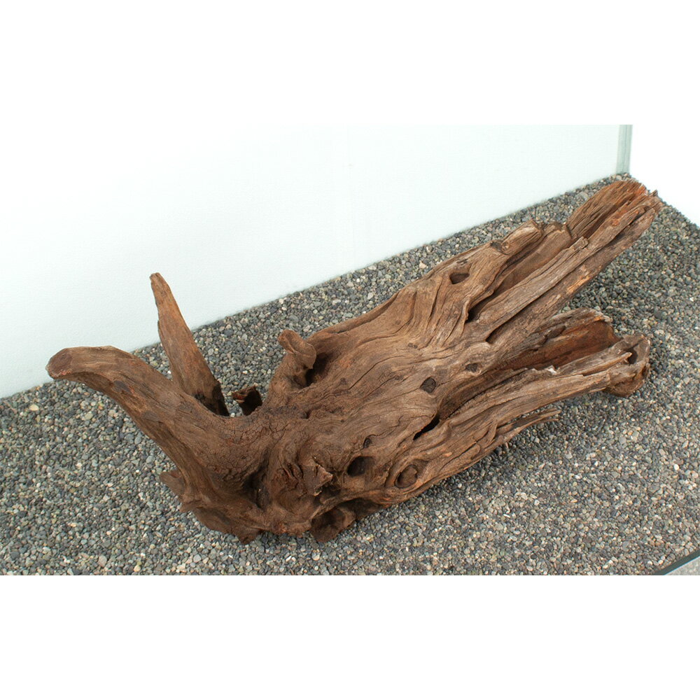 ����ʪ���ɥ�եȥ��åɡ��緿�����ѡ�881070������������