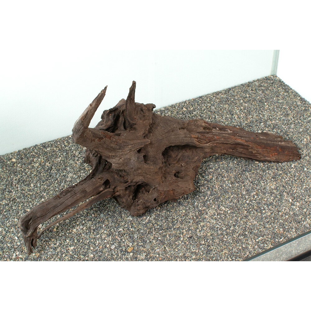 ����ʪ���ɥ�եȥ��åɡ��緿�����ѡ�881071������������