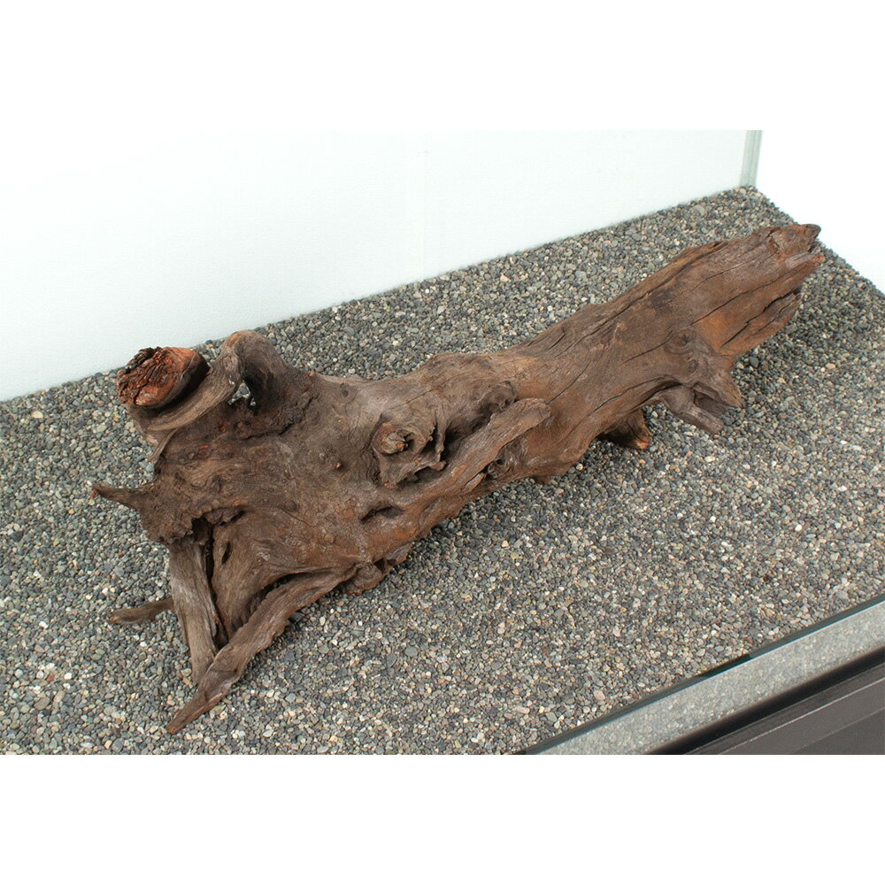 ����ʪ���ɥ�եȥ��åɡ��緿�����ѡ�881081������������