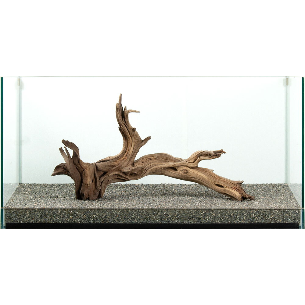 Driftwood - 一点物　ゴーストウッド　大型水槽用　881092　関東当日便