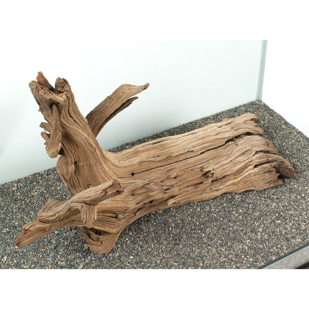 ����ʪ���������ȥ��åɡ��緿�����ѡ�881111������������