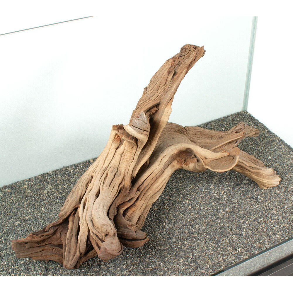 ����ʪ���������ȥ��åɡ��緿�����ѡ�881112������������