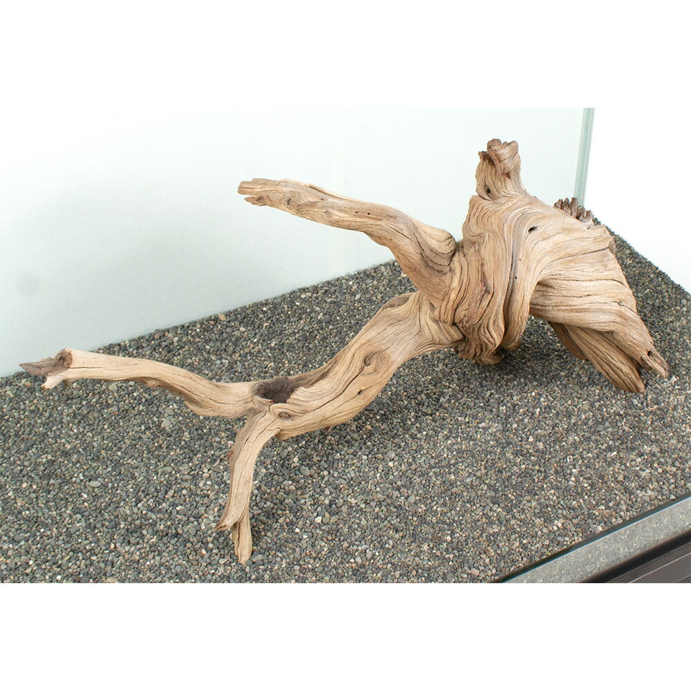 ����ʪ�����ή�ڡ������緿�����ѡ�881117������������