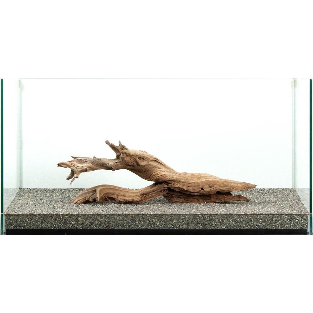 ����ʪ���������ȥ��åɡ��緿�����ѡ�881122������������