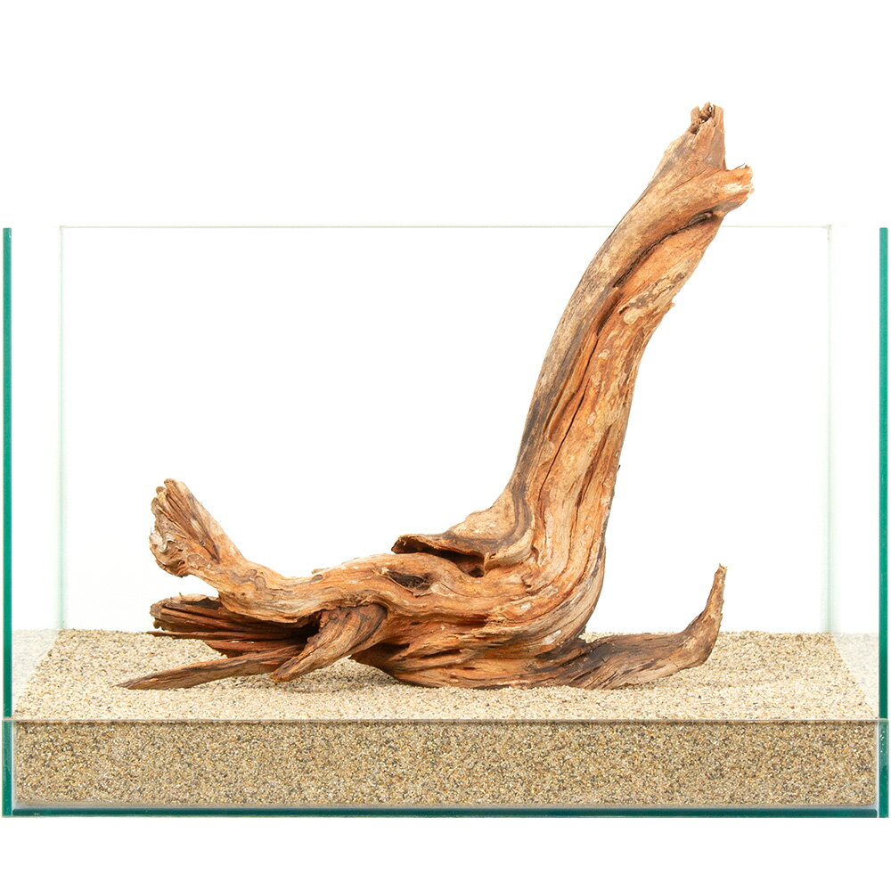 Driftwood - 一点物　ドリフトウッド　45cm水槽用　881313　関東当日便