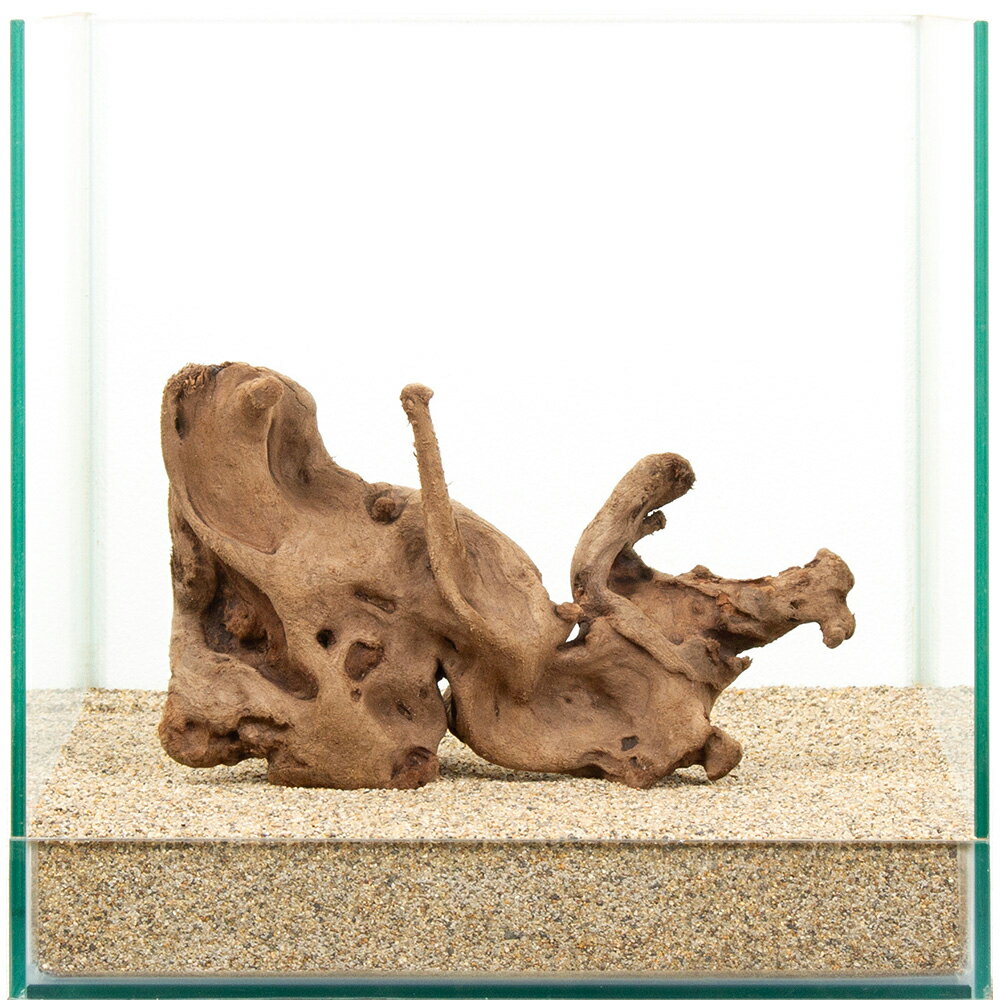 Driftwood - 一点物　上質流木　雅　30cm水槽用　881440　関東当日便