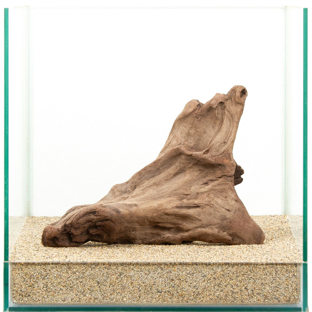 Driftwood - 一点物　上質流木　雅　30cm水槽用　881464　関東当日便