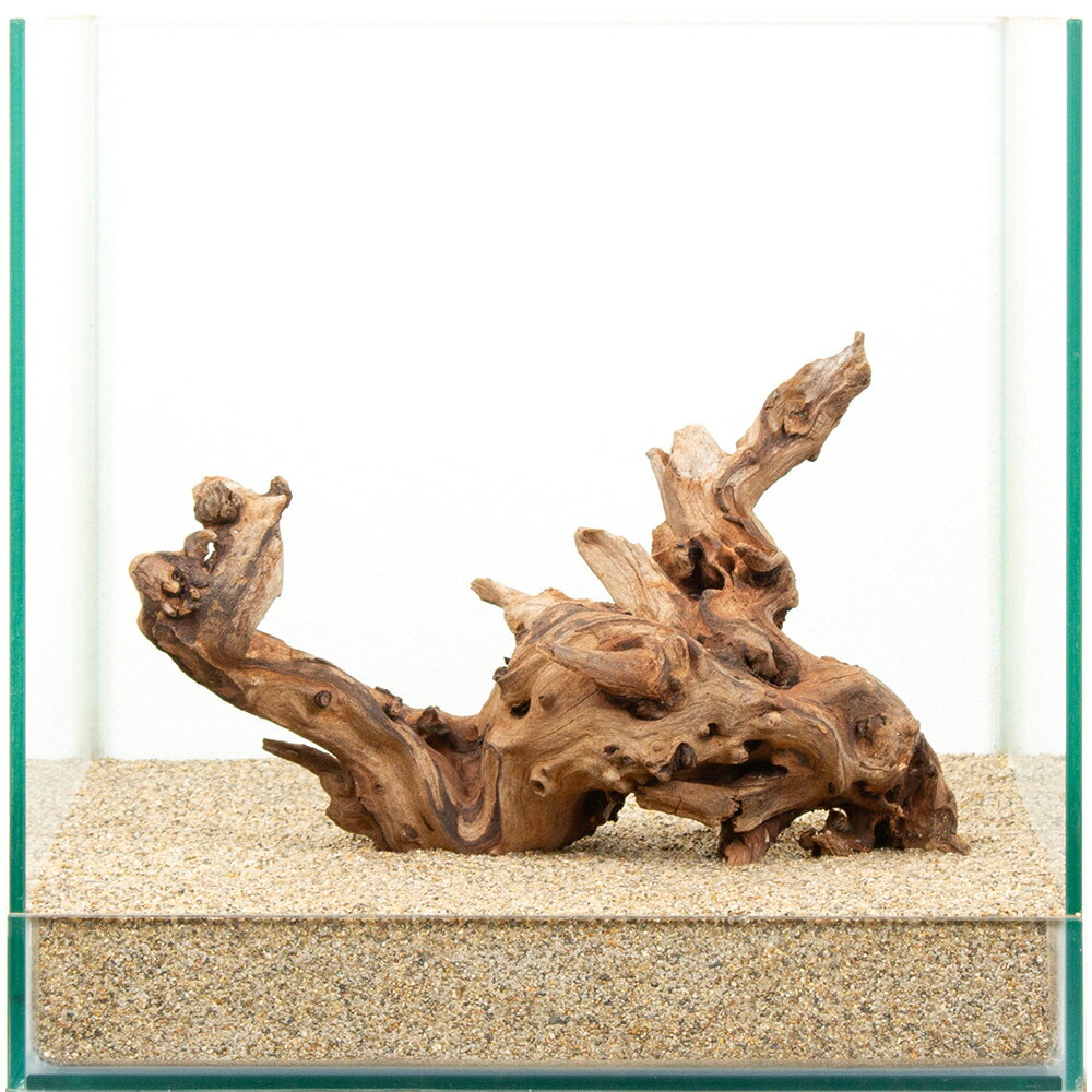 Driftwood - 一点物　上質ドリフトウッド　30cm水槽用　881496　関東当日便