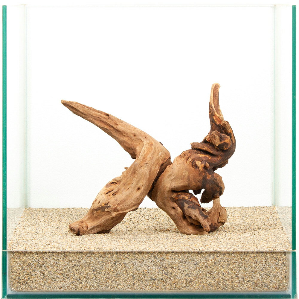 Driftwood - 一点物　上質ドリフトウッド　30cm水槽用　881499　関東当日便