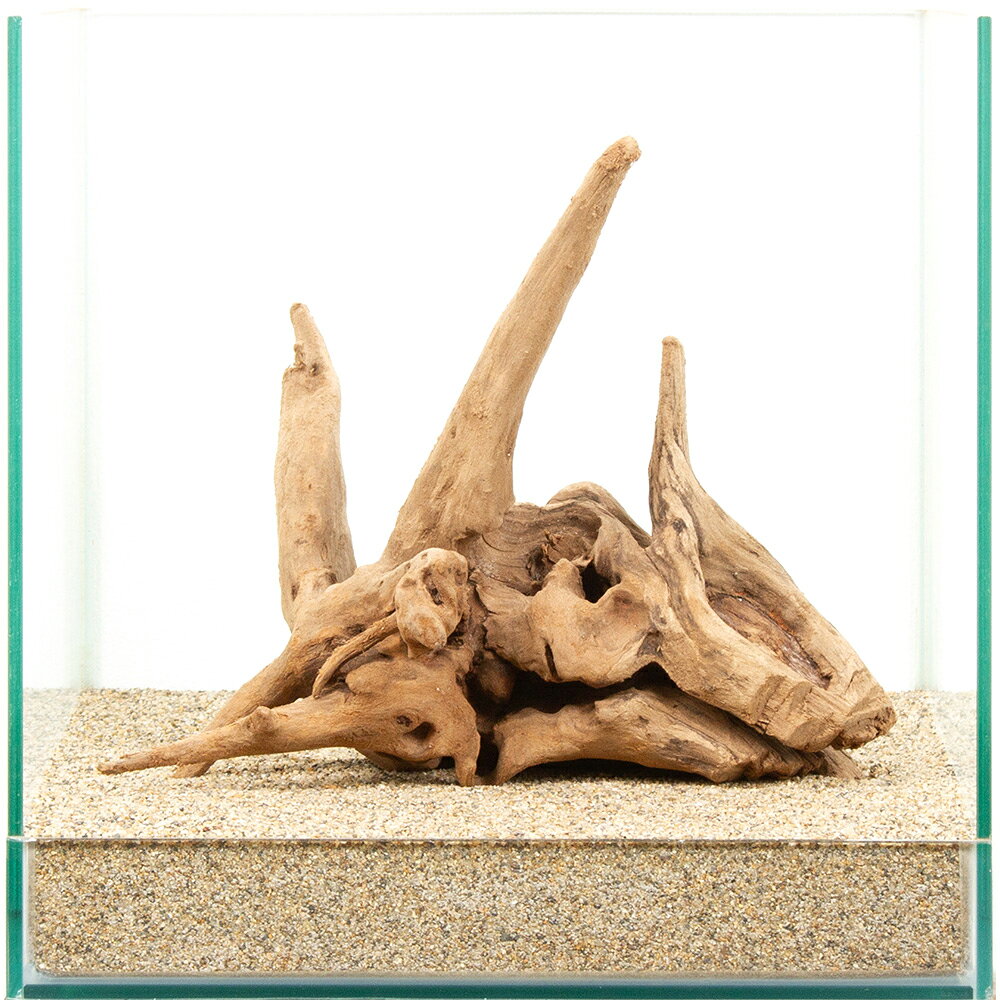 メーカー：レイアウト素材選び抜かれた「上質流木　雅」。この形状は世界に一つ。一点物　30cm水槽用　上質流木　雅特長●数多の「上質流木　雅」の中より厳選された、30cmクラスの水槽におすすめの選りすぐりの流木単体です。●掲載画像の形状の流木をお届けいたします。「これだ！」と思った流木をお選びください。●1個でも存在感は十分で、水槽内の上質な空間を演出します。●別売の他の流木や、石と組み合わせて用いても素敵なレイアウトを演出できます。●アヌビアス、ミクロソリウムなどの活着性水草や、ウィローモスを巻き付ける活着用素材としても最適です。●単体でも、他の素材と組み合わせても、レイアウトの幅は広がります。思い思いのオリジナルレイアウトをお楽しみください。数量1個サイズ（約）水槽サイズ：幅30×奥行30×高さ30cm ※流木を入れている水槽のサイズとなります。ご注意※撮影用の底床は田砂を使用しております。 ※お使いの底床によっては写真同様にセットできない場合があります。 ※場合によって流木、石を砂に埋めて立たせて撮影しています。 ※よく水洗いしてからご使用ください。 ※本品は煮出し済みですが、アクが出ないことを保証するものではありません。気になる場合は活性炭などを併用して、対処をお願いいたします。（水草）アヌビアスナナ（水上葉）（1ポット分）煮込み済み　上質流木　雅〜みやび〜　Sサイズ　約15〜25cm　3本　形状お任せ　アクアリウム　レイアウト素材　流木　塊状風山石　3kg　約5〜15cm　30cm水槽向け　形状お任せ　アクアリウム　レイアウト素材　国産品風山石　Sサイズ　約8〜12cm　3個　形状お任せ　アクアリウム　レイアウト素材 … 雅　流木／石　流木　30cm水槽用　流木・石　上質流木　アクアリウム　一点物　1点物　レイアウト素材　アクアリウム用品　テラリウム　アクアテラリウム　パルダリウム　熱帯魚　水草　水草レイアウト　miyabi　20260729　y26m07　q10_hidden■この商品をお買い上げのお客様は、下記商品もお買い上げです。※この商品には付属しません。■（水草）アヌビアスナナ（水上葉）（1ポット分）煮込み済み　上質流木　雅〜みやび〜　Sサイズ　約15〜25cm　3本　形状お任せ　アクアリウム　レイアウト素材　流木　塊状風山石　3kg　約5〜15cm　30cm水槽向け　形状お任せ　アクアリウム　レイアウト素材　国産品風山石　Sサイズ　約8〜12cm　3個　形状お任せ　アクアリウム　レイアウト素材