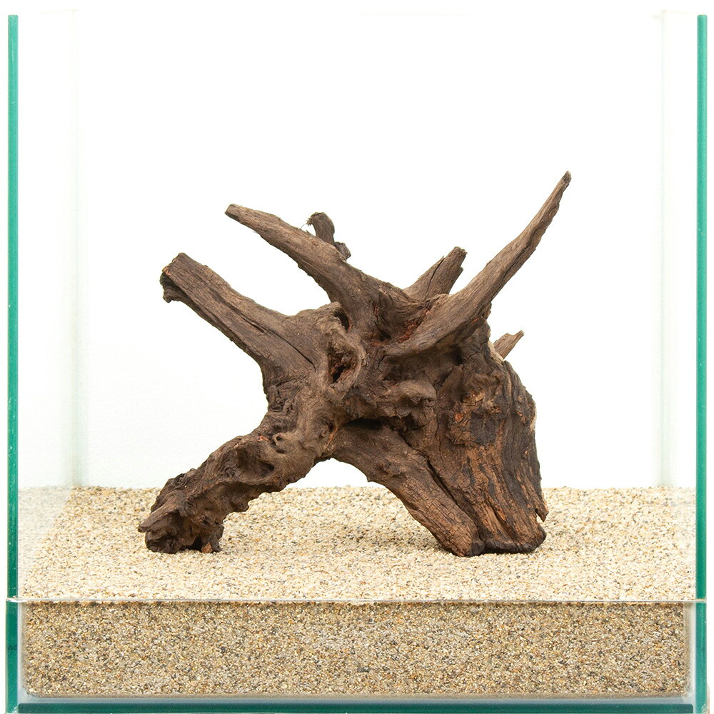 メーカー：レイアウト素材●この流木は【当店で煮込み済み】です。●半日〜1日煮込んでアク抜き作業および殺菌を施しておりますが、水槽投入後、流木自体の色素が出てしまう場合もございます。●流木からの色素は生体への影響がないとされておりますが、気になる場合は、活性炭等を使用して色味を除去するか換水を行ってください。選び抜かれた「ドリフトウッド」。この形状は世界に一つ。一点物　30cm水槽用　ドリフトウッド特長●数多の「ドリフトウッド」の中より厳選された、30cmクラス以上の水槽におすすめの選りすぐりの流木単体です。●掲載画像の形状の流木をお届けいたします。「これだ！」と思った流木をお選びください。●別売の同シリーズや他の流木、石と組み合わせて用いても素敵なレイアウトを演出できます。●アヌビアス、ミクロソリウムなどの活着性水草や、ウィローモスを巻き付ける活着用素材としても最適です。●単体でも、他の素材と組み合わせても、レイアウトの幅は広がります。思い思いのオリジナルレイアウトをお楽しみください。数量1個サイズ（約）水槽サイズ：幅30×奥行30×高さ30cm ※流木を入れている水槽のサイズとなります。ご注意※撮影用の底床は田砂を使用しております。※お使いの底床によっては写真同様にセットできない場合があります。※場合によって流木、石を砂に埋めて立たせて撮影しています。※よく水洗いしてからご使用ください。※水槽内では（水に濡らすと）黒みの強い流木ですが、乾燥状態ではグレー系の色合いとなります。予めご了承ください。※本品は煮出し済みですが、アクが出ないことを保証するものではありません。気になる場合は活性炭などを併用して、対処をお願いいたします。※お届け時に多少の折れが見られる場合がございます。予めご了承ください。●この流木は【当店で煮込み済み】です。●半日〜1日煮込んでアク抜き作業および殺菌を施しておりますが、水槽投入後、流木自体の色素が出てしまう場合もございます。●流木からの色素は生体への影響がないとされておりますが、気になる場合は、活性炭等を使用して色味を除去するか換水を行ってください。（水草）アヌビアスナナ（水上葉）（1ポット分）（水草）おまかせミクロソリウム　1種（1ポット分）（水草）ウィローモス（水中葉）（無農薬）（1カップ）モスライン　1．5g（約50m）　モスカラー（深緑）　植物活着用ナイロン糸モスライン　1．5g（約50m）　流木カラー（こげ茶）　植物活着用ナイロン糸キョーリン　高性能活性炭　ひかりウェーブ　ブラックホール　お一人様30点限り風山石　20kg　約5〜25cm　大型水槽向け　形状お任せ　アクアリウム　レイアウト素材2個口発送　風山石　40kg　約5〜20cm　大型水槽向け　形状お任せ　アクアリウム　レイアウト素材　国産品 … 流木／石　流木　30cm水槽用　流木・石　一点物　ドリフトウッド　300　ブラック　アクアリウム　1点物　レイアウト素材　アクアリウム用品　テラリウム　アクアテラリウム　パルダリウム　熱帯魚　水草　水草レイアウト　20260729　y26m07　q10_hidden■この商品をお買い上げのお客様は、下記商品もお買い上げです。※この商品には付属しません。■（水草）アヌビアスナナ（水上葉）（1ポット分）（水草）おまかせミクロソリウム　1種（1ポット分）（水草）ウィローモス（水中葉）（無農薬）（1カップ）モスライン　1．5g（約50m）　モスカラー（深緑）　植物活着用ナイロン糸モスライン　1．5g（約50m）　流木カラー（こげ茶）　植物活着用ナイロン糸キョーリン　高性能活性炭　ひかりウェーブ　ブラックホール　お一人様30点限り風山石　20kg　約5〜25cm　大型水槽向け　形状お任せ　アクアリウム　レイアウト素材2個口発送　風山石　40kg　約5〜20cm　大型水槽向け　形状お任せ　アクアリウム　レイアウト素材　国産品