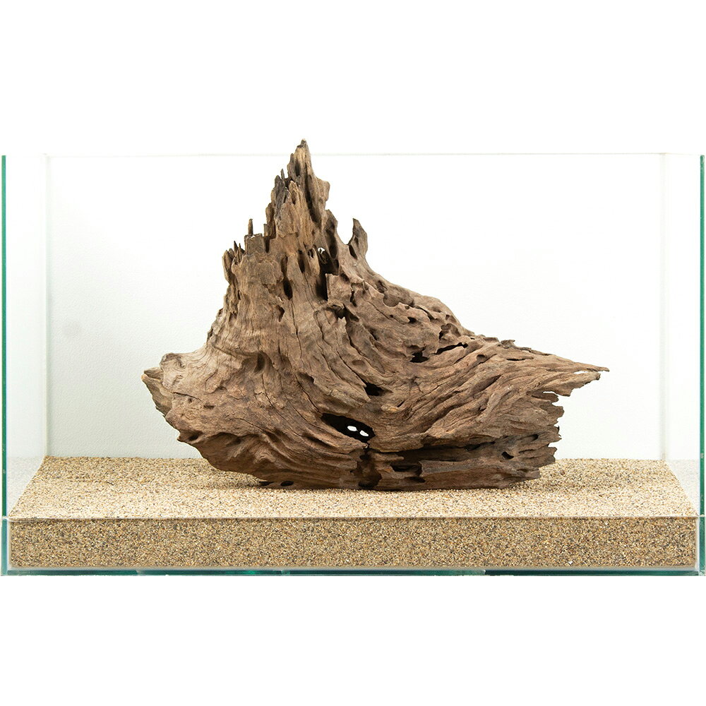 一点物　60cm水槽用　ハニカムウッド　882582　関東当日便