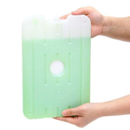 保冷剤 フリーザーアイスハード 800g 氷点下16℃タイプ ひんやり 関東当日便