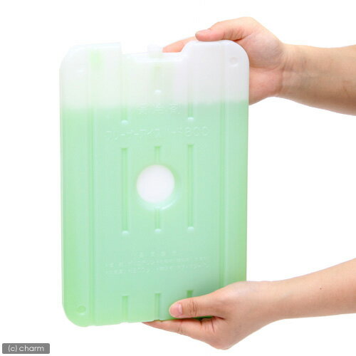 保冷剤 フリーザーアイスハード 800g 氷点下16℃タイプ ひんやり 関東当日便通販格安セール情報 楽天 通販