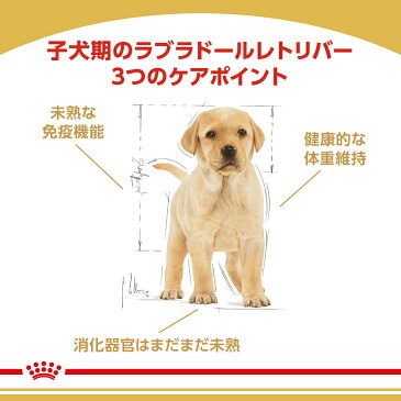 ロイヤルカナン ラブラドールレトリバー 子犬用 12kg 沖縄別途送料 関東当日便