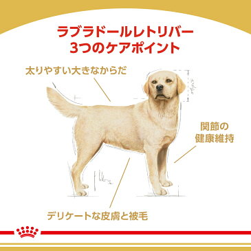 ロイヤルカナン　ラブラドールレトリバー　成犬〜高齢犬用　12kg　沖縄別途送料　お一人様1点限り　関東当日便