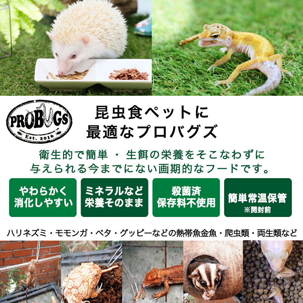 プロバグズ 真空パック生昆虫 スーパーワーム g 常温保存可 生餌 生き餌 エサ 餌 Rium プロバグズ 真空パック生昆虫 スーパーワーム g 常温保存可 生餌 生き餌 エサ 餌 Rium