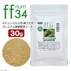 ff　num34　オトシンクルス用　練りエサ　30g　プレミアム健康管理フード　餌　エサ【HLS_DU】　関東当日便