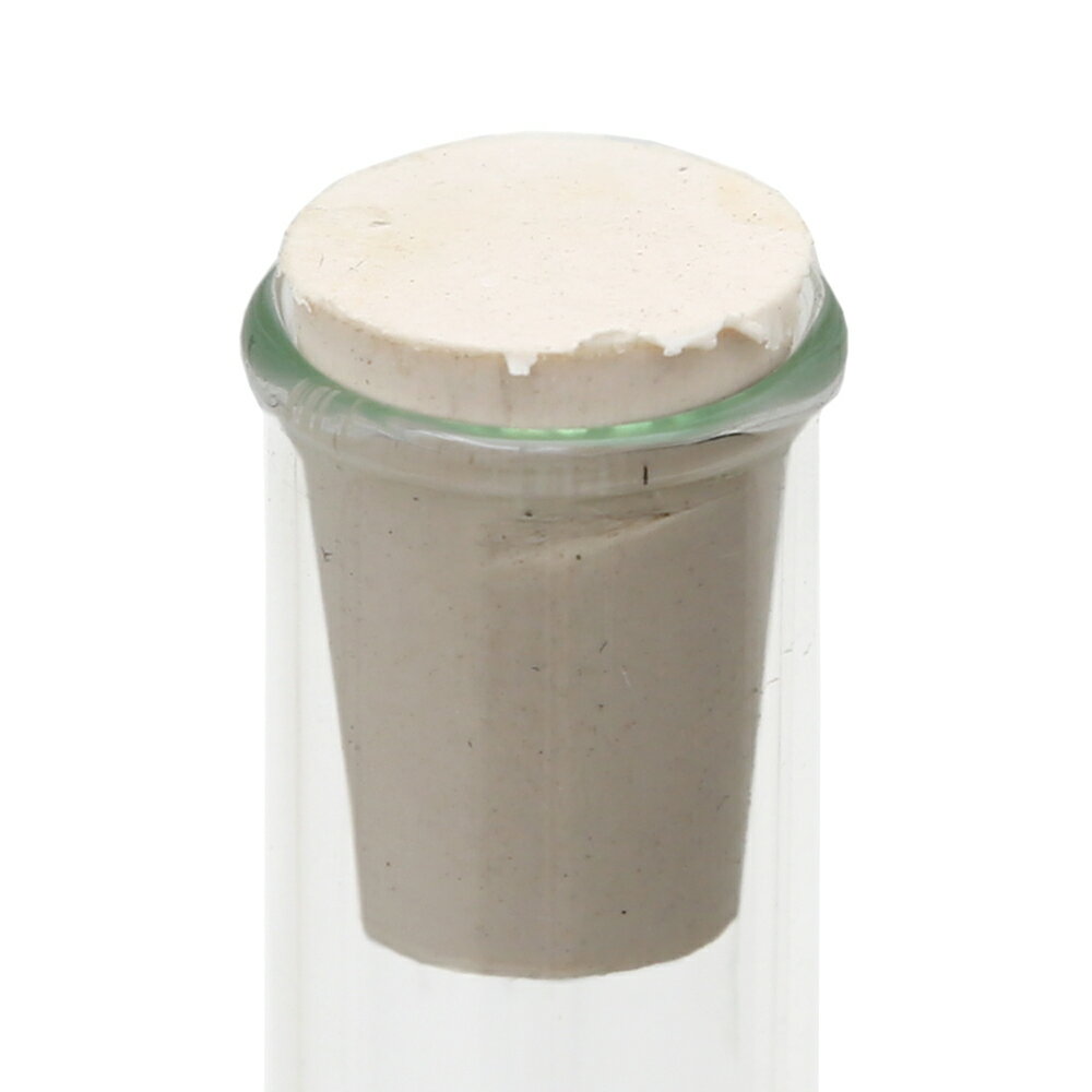 ��ȥ륫���ڥ󥿡�������������ѡ�������򡡵¡��ν����ʡ�����������