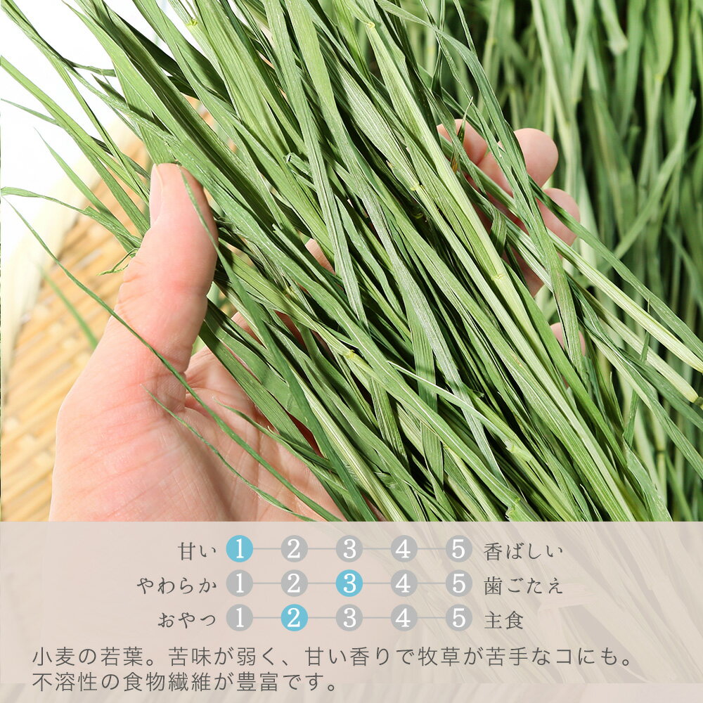 ����7ǯ���������𡡤�ߤĤ��������ȥإ��ʾ������աˡ�100g������̵������������������åȡ���ưʪ������ġ�USAYAMA������������