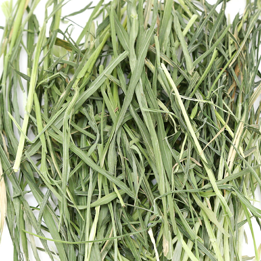 令和8年産　国産牧草　やみつきオーツヘイ　1kg　窒素充填　業務用サイズ　牧草　...