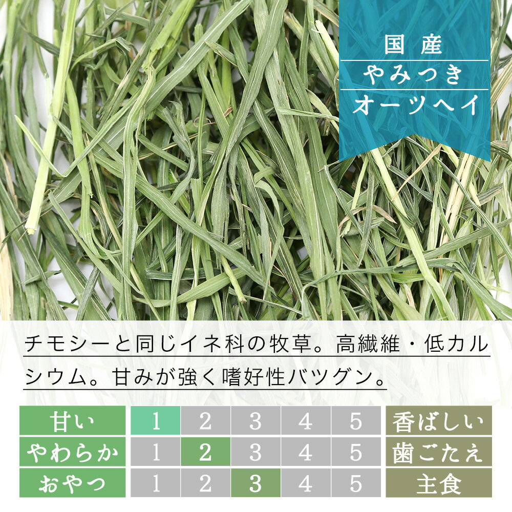 令和8年産　国産牧草　やみつきオーツヘイ　1kg　窒素充填　業務用サイズ　牧草　...