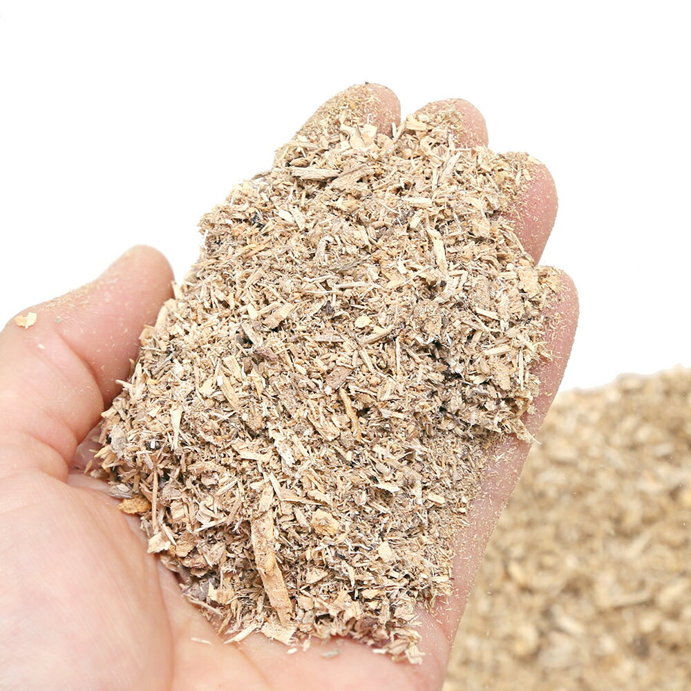 B11�����ʤ��ʥޥåȡ��ץ�ߥ��ࡡ5L�ʥ���å������ˡ����̥������ʥ顡���ꡡ����������