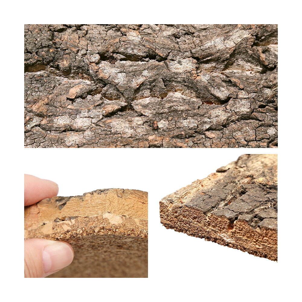 テラリウム用 コルクバックパネル W60×H4...の紹介画像3