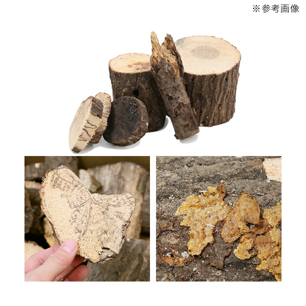 産卵木 端材詰め合わせ 10kg 太さ・形状・...の紹介画像2