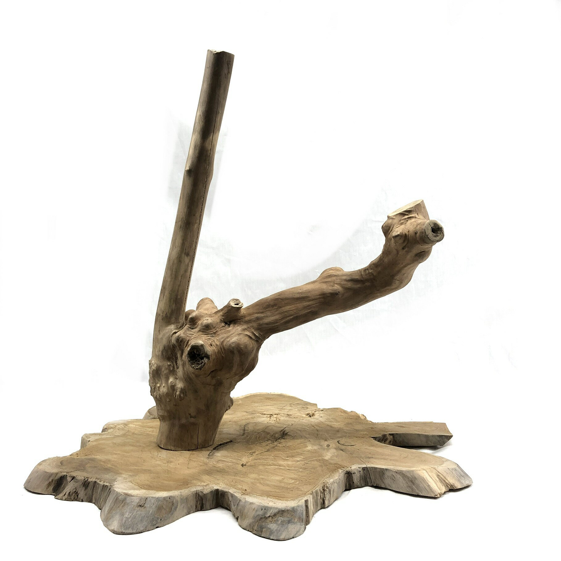 一点物　天然素材の組み立て式　大きなとまり木　土台付き　関東当日便