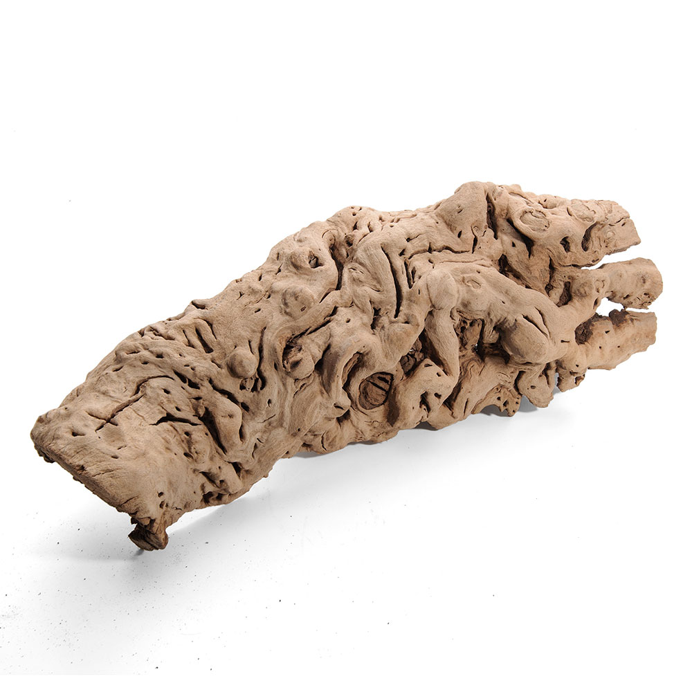 ����ʪ���֤ɤ����ڡ�����ȥ����륿����3L������ࡡξ���ࡡ��ưʪ��900361������������