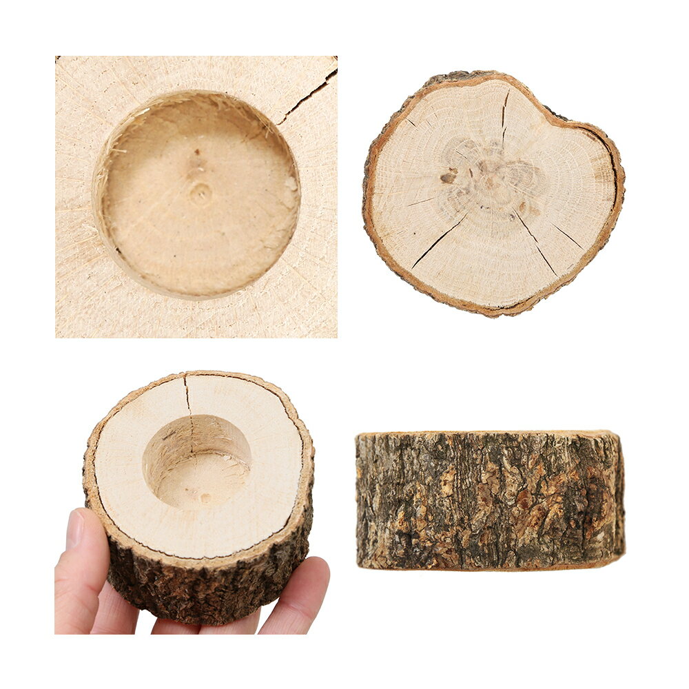 アウトレット品　本格原木ゼリー皿　丸型　16〜18g　1個用　昆虫　カブトムシ　クワガタ　餌皿　足場木　国産　訳あり　関東当日便 2