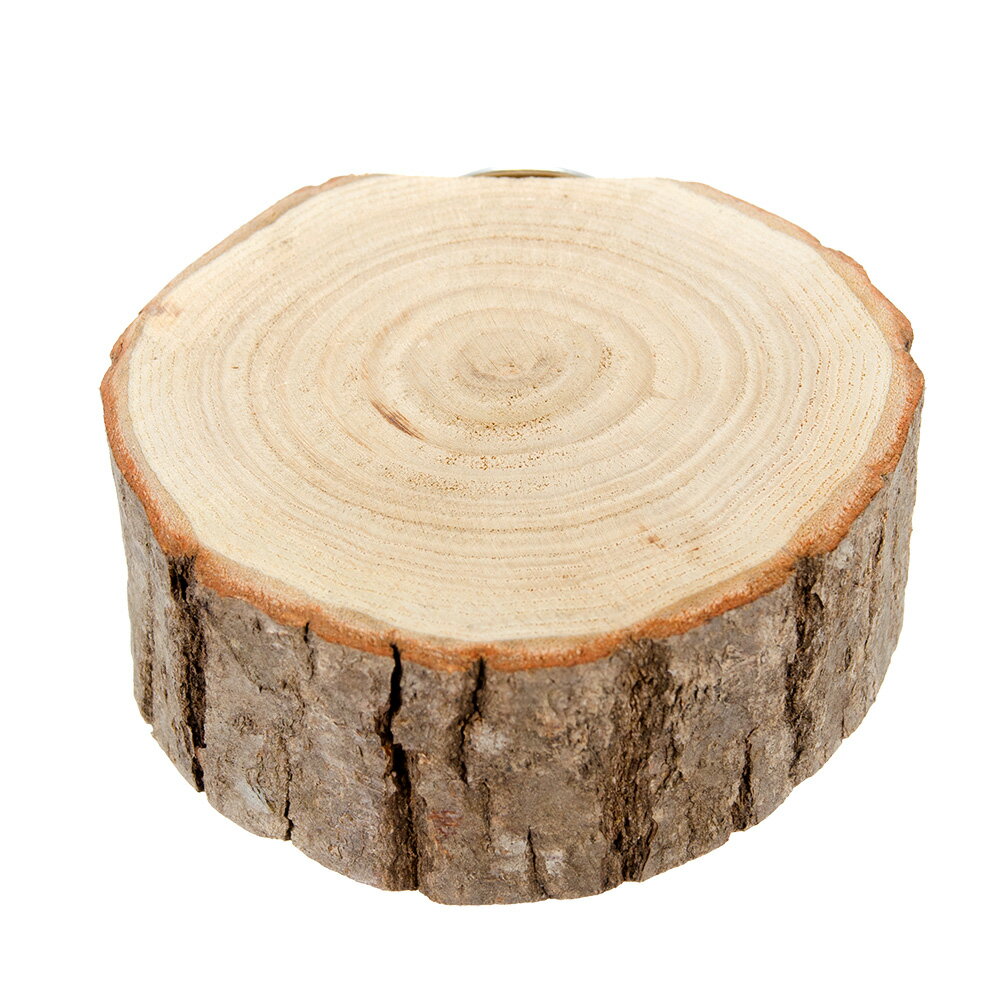 ステップ輪切り　天然素材　くりの木　固定式かじり木　1個入り　かじっても安心　レイアウト　関東当..