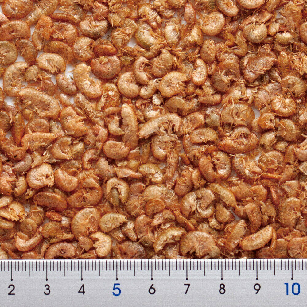 �ե꡼���ɥ饤���襳���ӡ�10g������������