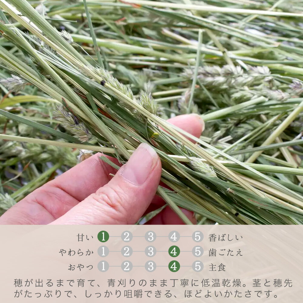 ��2��5�����������Ψ2ʬ��1��1������100������7ǯ����Ĺ������Ĵ��ꥪ�����㡼�ɥ��饹��300g������å��ޡ�������������