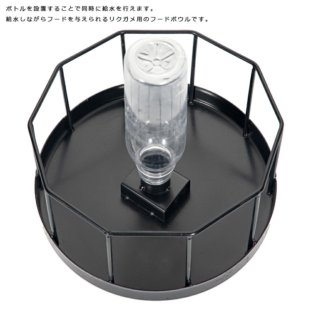 �ꥯ�����ѥա��ɥܥ��롡�硡����������