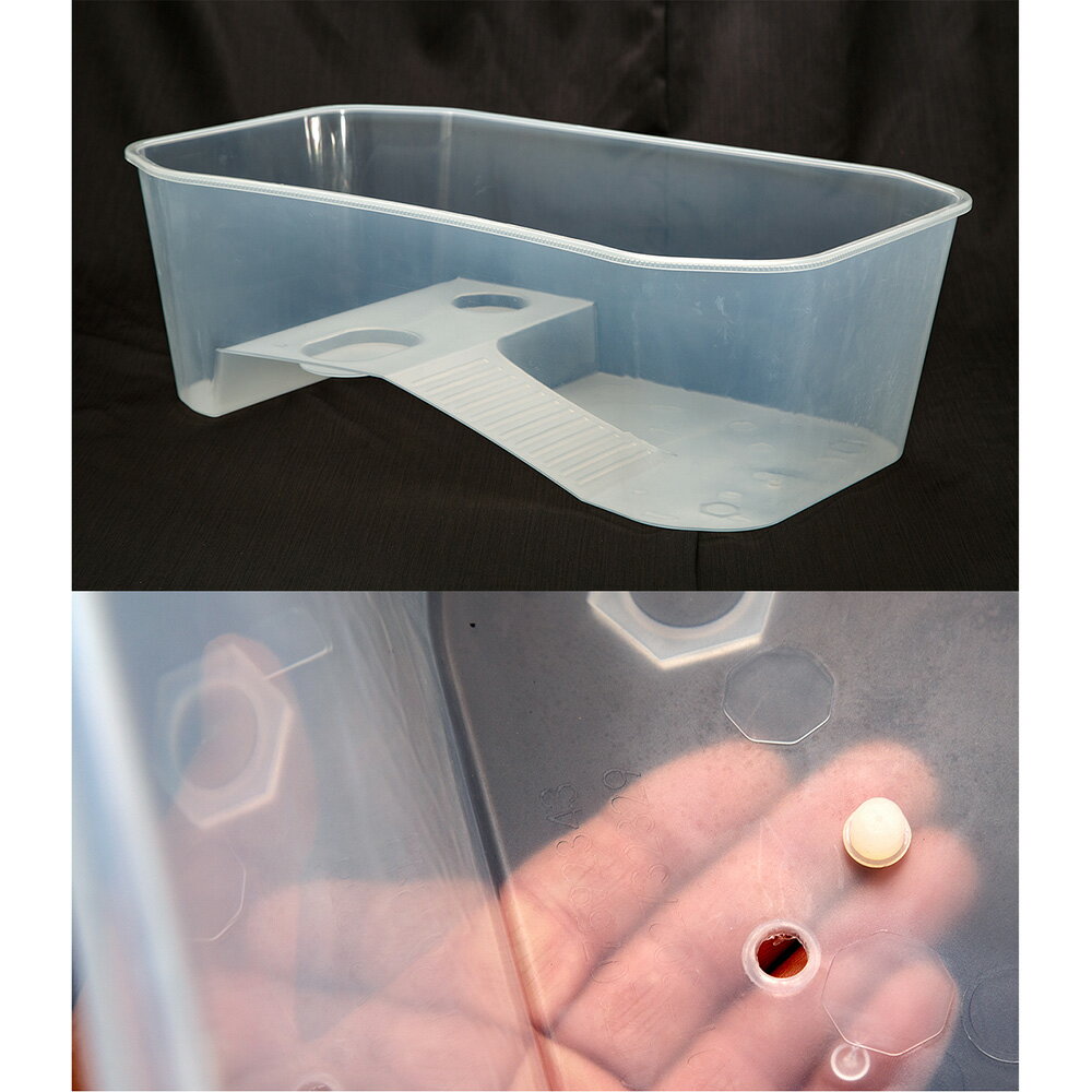 �����ȥ�ܥå��������ꥢ�ۥ磻�ȡ�M�����ᡡ����������