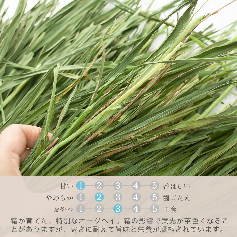 �����𡡤�ߤĤ������ߤꥪ���ĥإ���100g�����𡡤�����������åȡ�USAYAMA������������