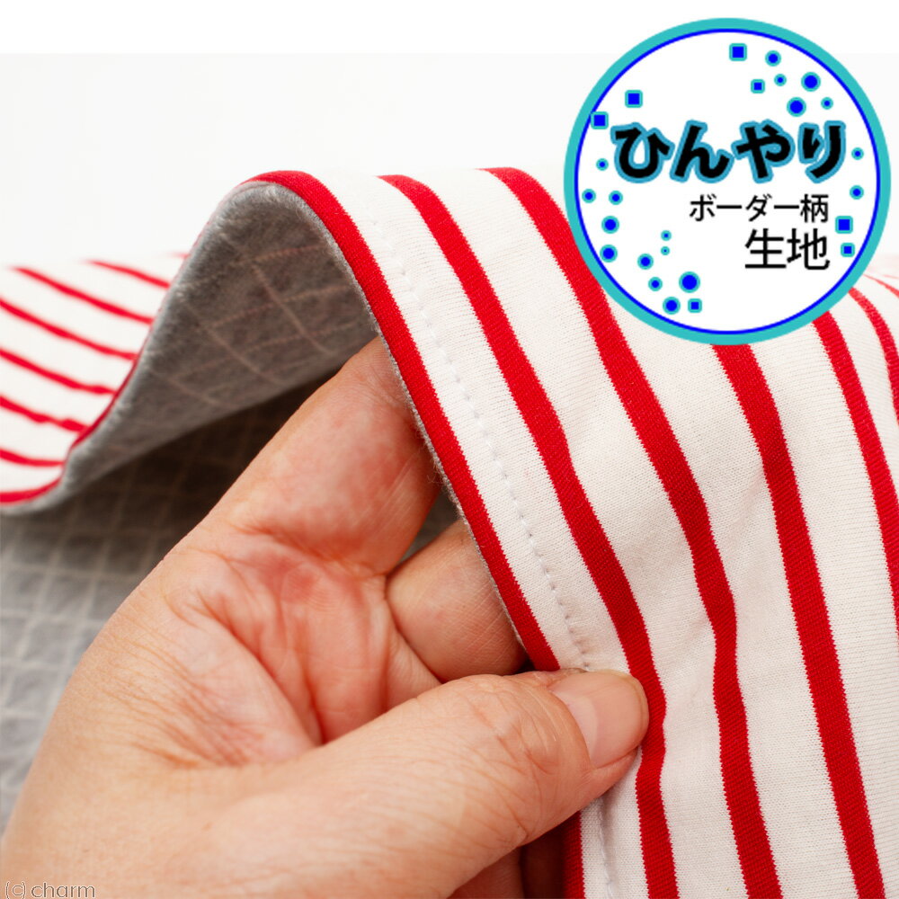 ��3��1�����������Ψ2ʬ��1��1������100���ܿ��䴶����ǭ�ѡ��Ҥ�����餫�ޥåȡ��֥ܡ�������M��50��65cm�ˡ��ϥ�ɥᥤ��