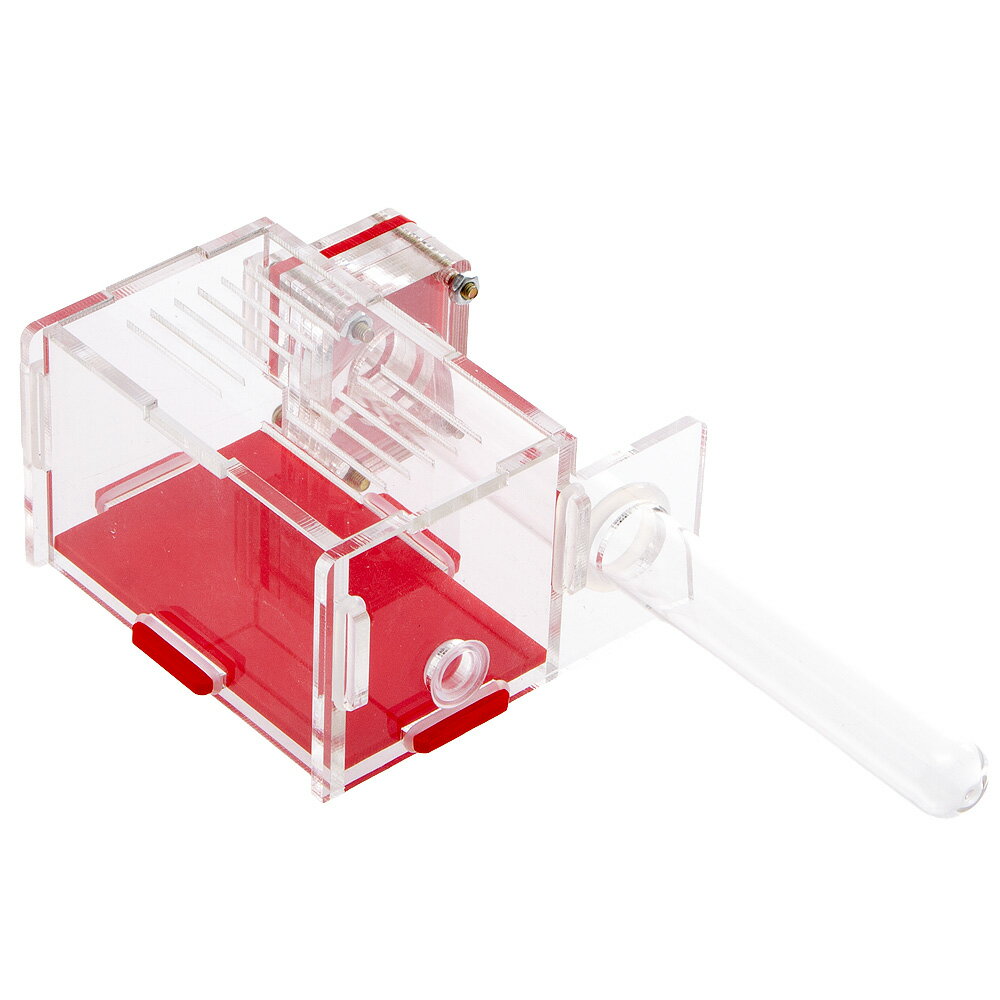 アントピア　試験管1本型　アクティブエリア付き　ネスト　関東当日便