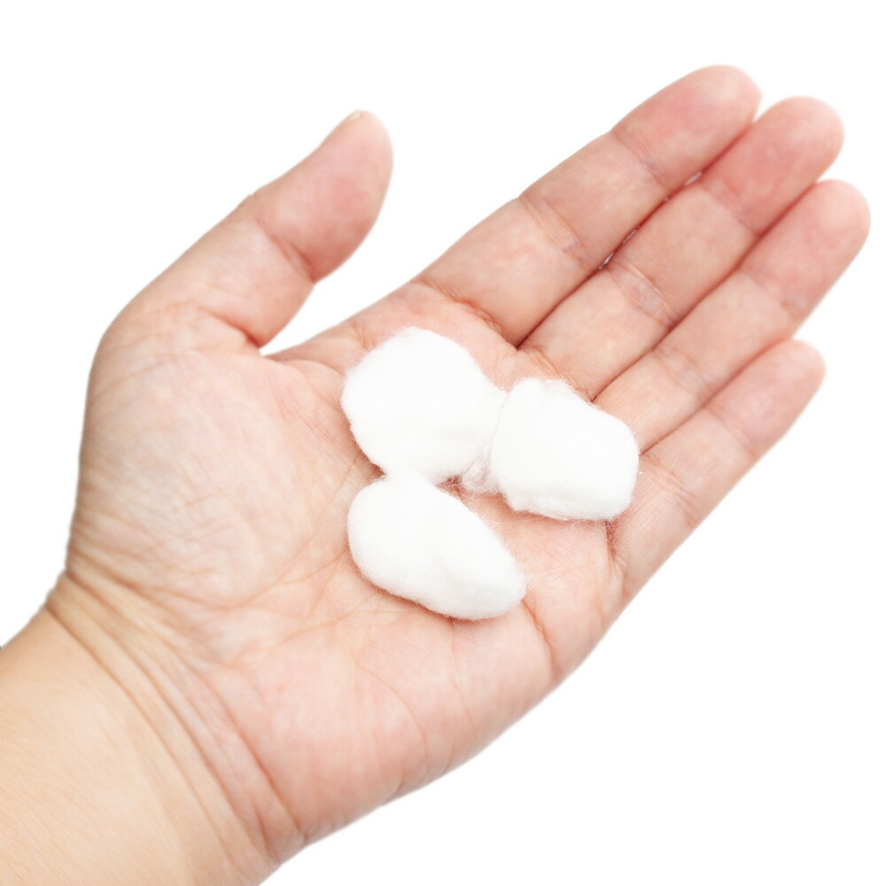 アントピア　試験管用　コットンボール　関東当日便