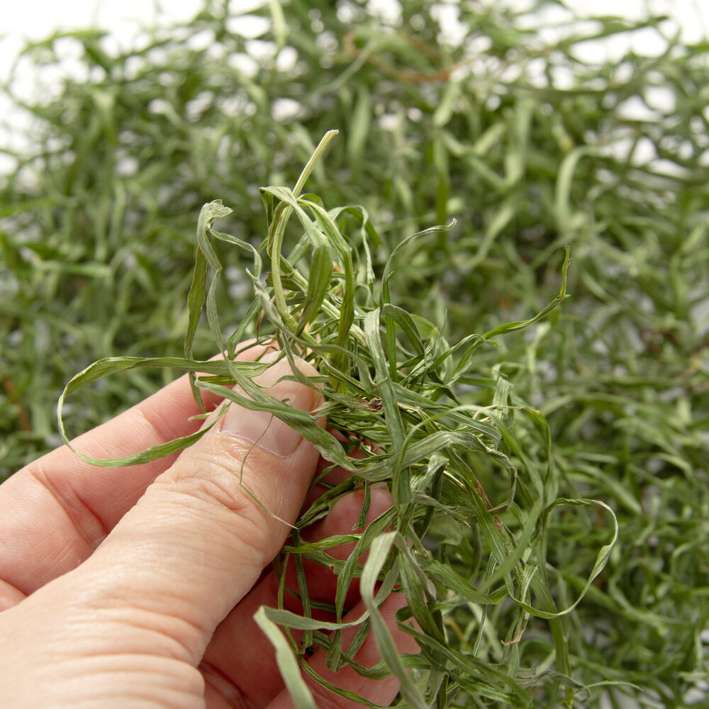 ����7ǯ����������Ķ�㴢�ꡡ�ܤΤ��餫�����ꥢ��饤���饹��10g�������������𡡴���������