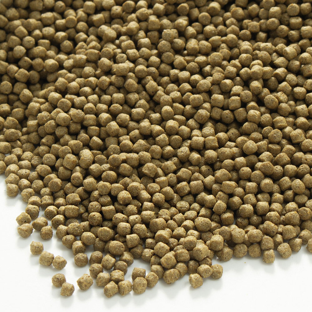 ニオイ・汚れを抑える　ff　num600　水棲カメ用　ペレット　小粒　浮上性　250g　...