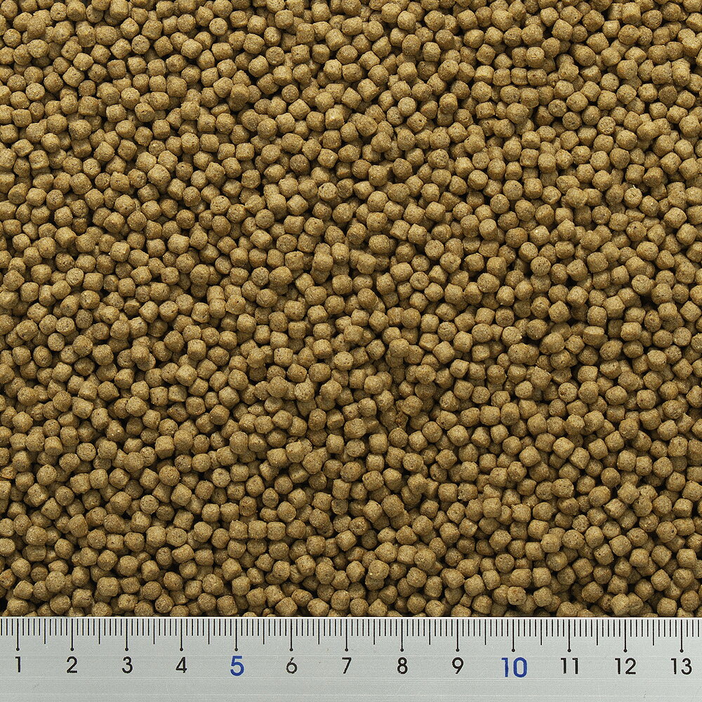 ニオイ・汚れを抑える　ff　num600　水棲カメ用　ペレット　小粒　浮上性　250g　...