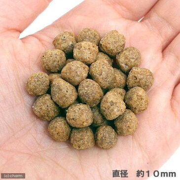 国産プレミアムフード　ワンラック　ナチュラル　ゴールド　（成犬用）　3kg　1箱4袋　ドッグフード　お一人様1点限り　沖縄別途送料　関東当日便